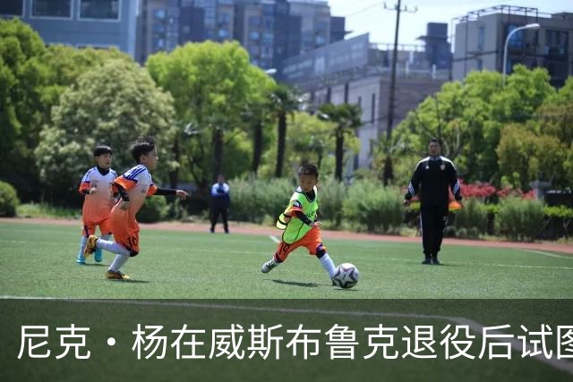 尼克·杨在威斯布鲁克退役后试图邀请他加盟，并向德罗赞发挑战